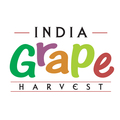 India Grape Harvest